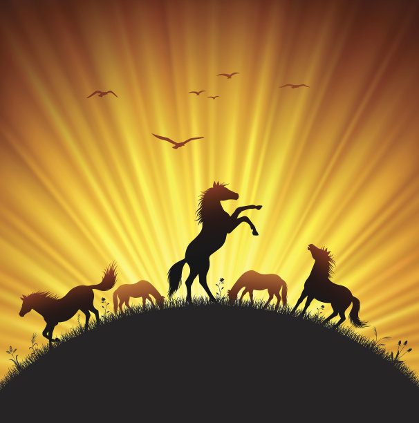 田间养马图片下载