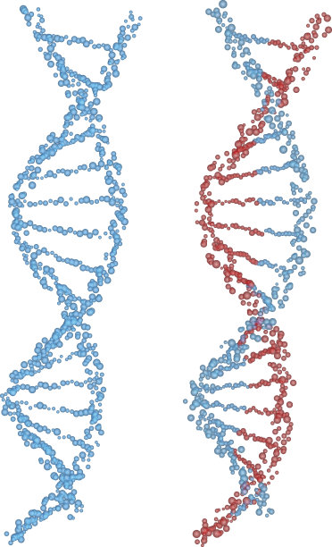 螺旋DNA图片下载