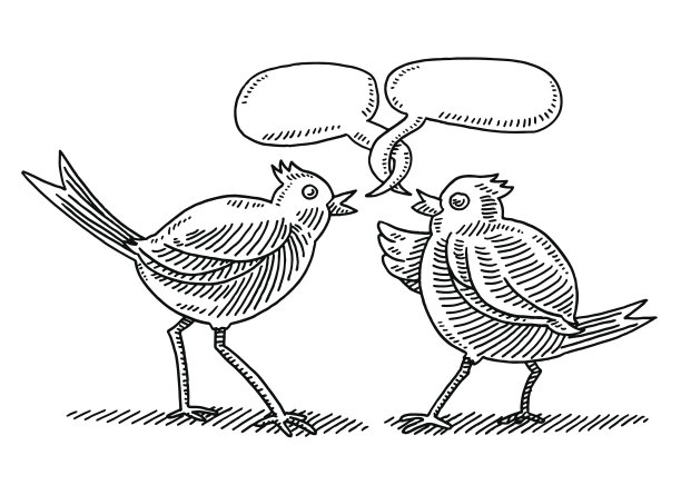 两只卡通鸟说话说话泡泡画图片下载