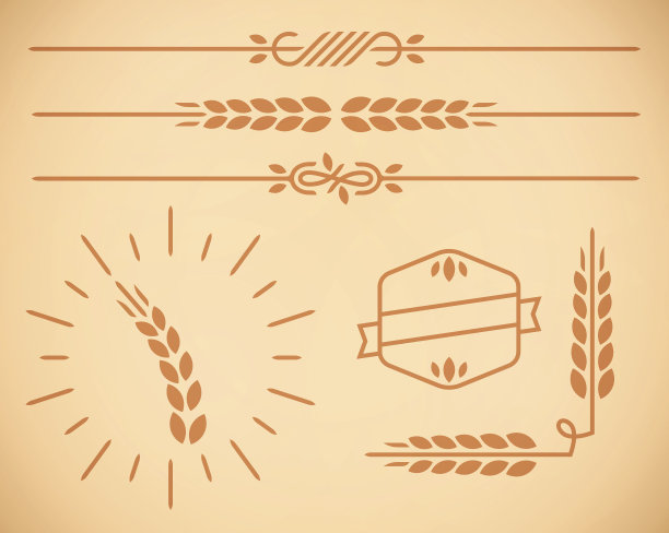 乡村小麦自然边界与设计元素素材图片