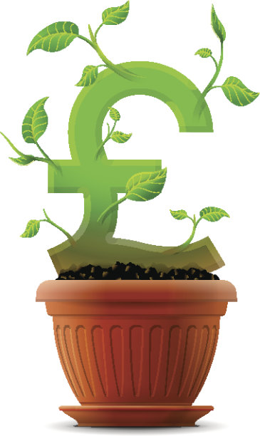 花盆中有叶子的植物图片下载