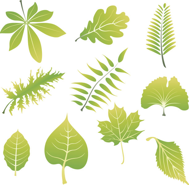 叶图标设置图片下载