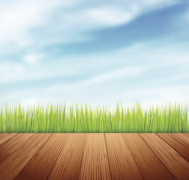 绿色的草和蓝色的天空图片下载