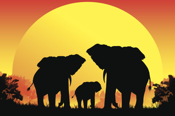 非洲象家族在炎热的天气里狩猎图片下载