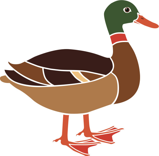 颜色的野鸭图片下载