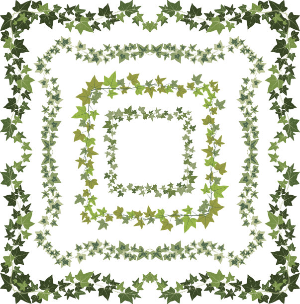 艾薇帧图片下载