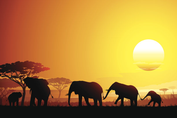 非洲风景与有趣的大象剪影在炎热的天图片下载