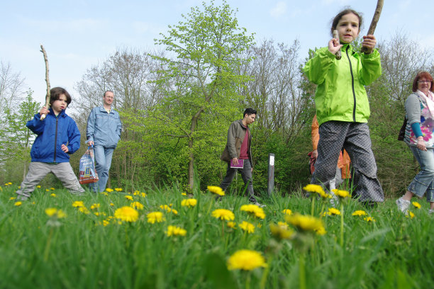 玩和看图片下载