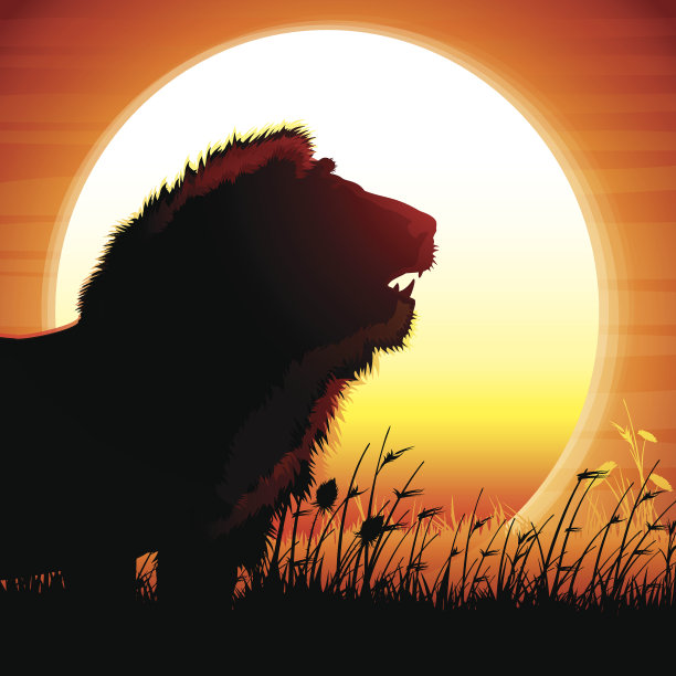 炎热的阳光下，狮子的身影映入眼帘图片下载