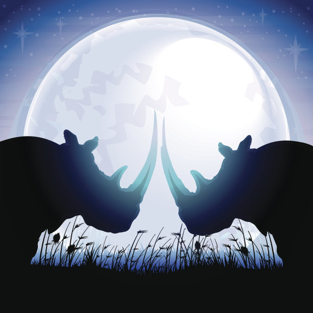 蓝色月光下，两只非洲犀牛的轮廓图片下载