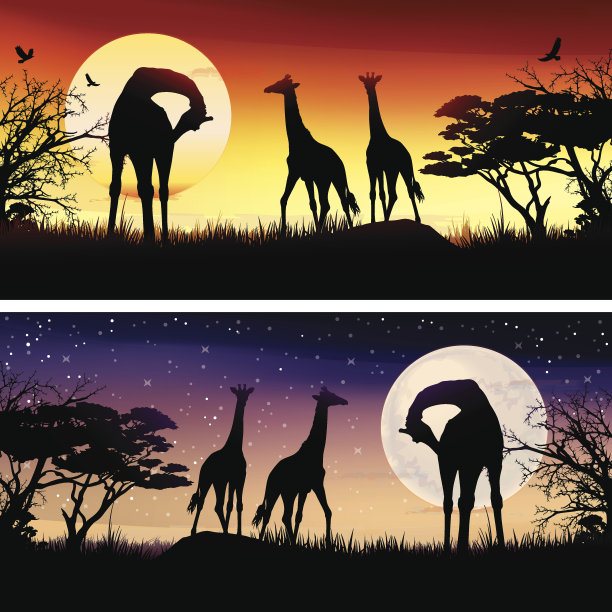 非洲长颈鹿剪影safari插图集图片下载