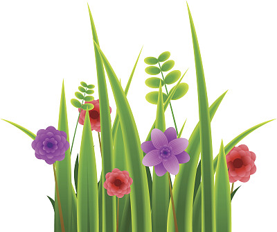 春天草地孤立图片下载