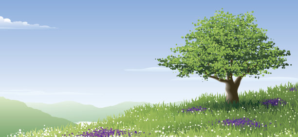 丰富多彩的景观图片下载