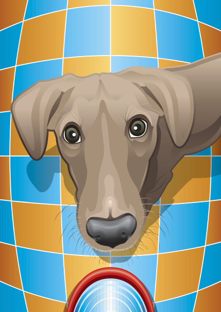 拿着水碗的狗图片下载