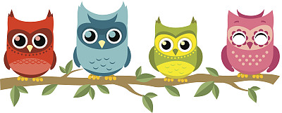 四只猫头鹰栖息在一起图片下载