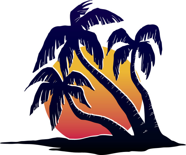 热带的手掌图片下载