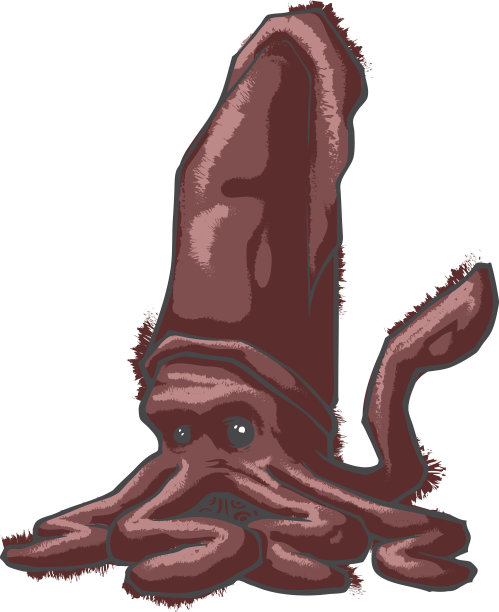 巨型乌贼图片下载