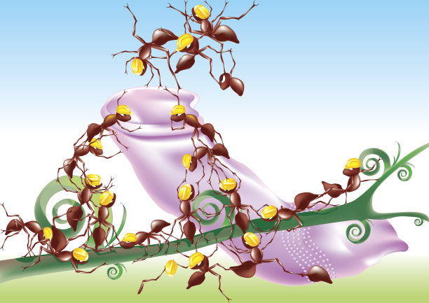 蚂蚁爬过安全套图片下载