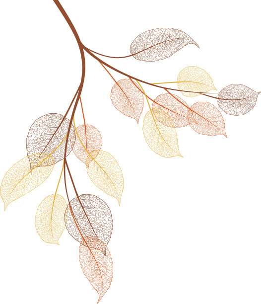 秋天的分支图片下载