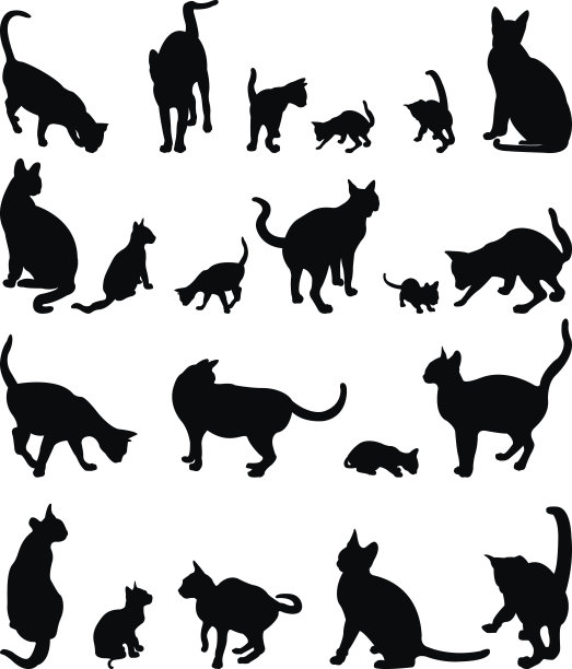 猫的轮廓图片下载
