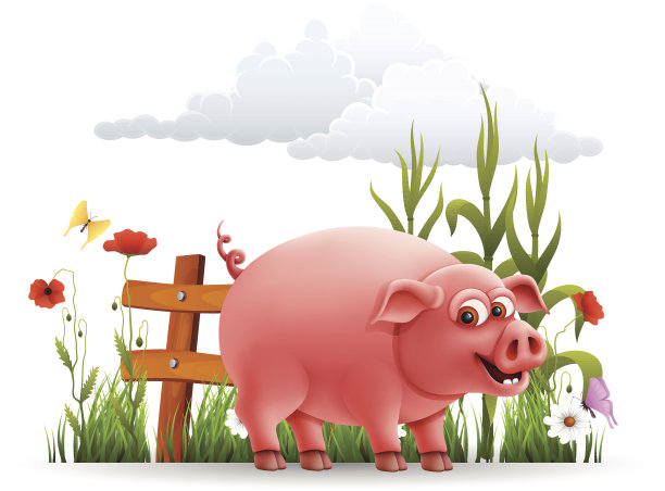 快乐的猪图片下载