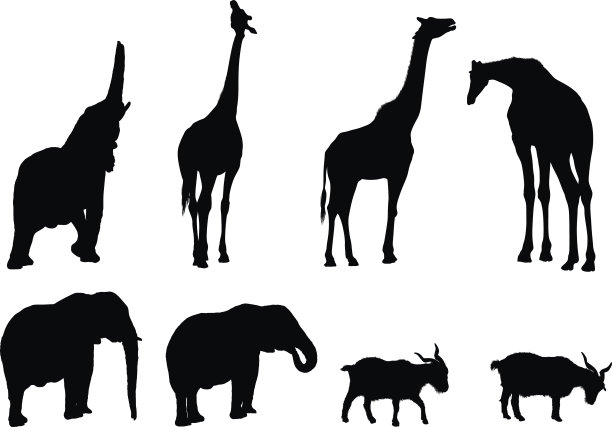 轮廓的动物图片下载