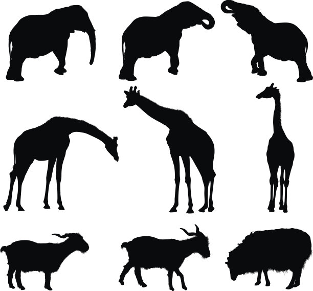 轮廓的动物图片下载