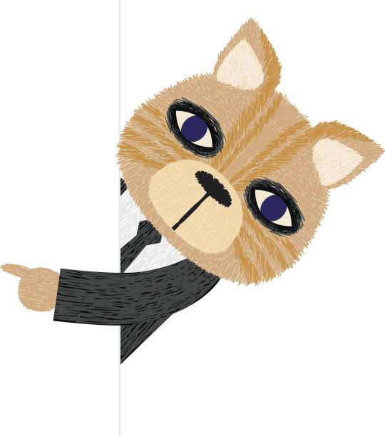 指出猫图片下载