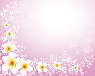 茉莉花图片下载