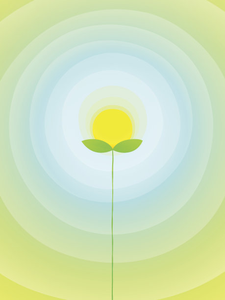 太阳的花图片下载