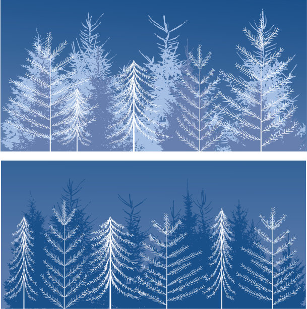 冬季森林图片下载