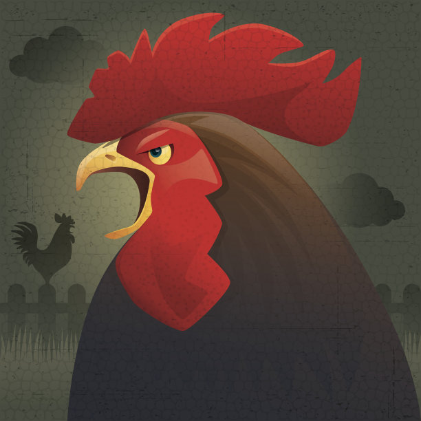 啼叫公鸡图片下载