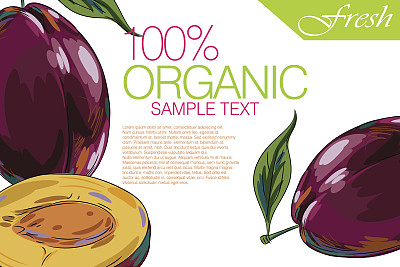 新鲜的李子图片下载