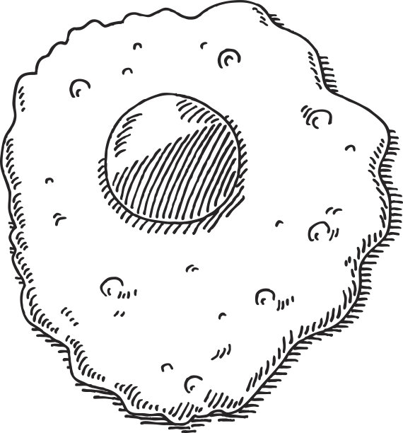 煎蛋画图片下载