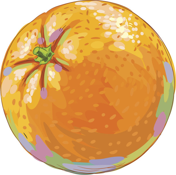 鲜橙孤立在白色上图片下载