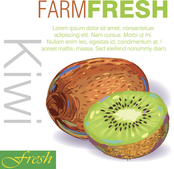 新鲜猕猴桃图片下载