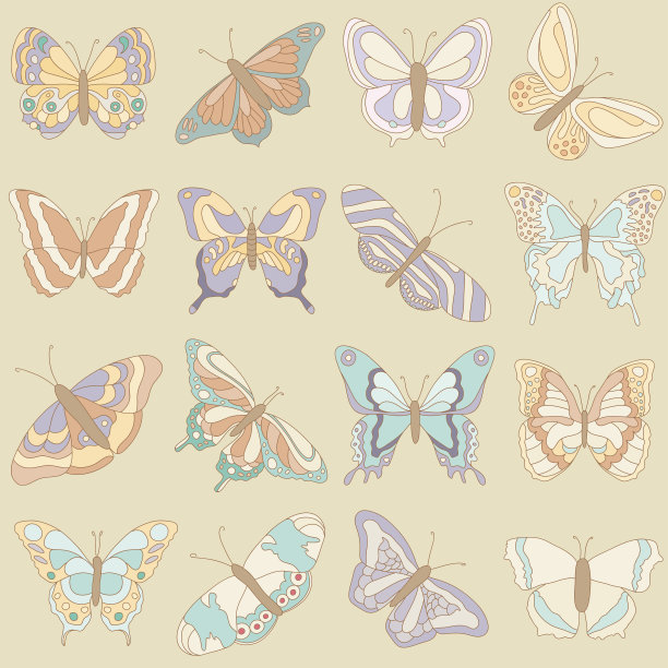 蝴蝶组图片下载