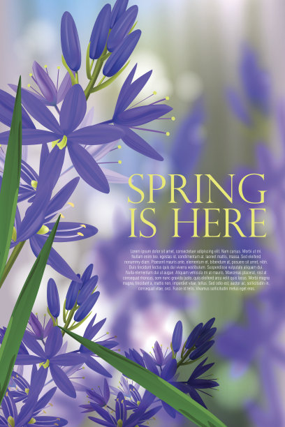 床上莉莉图片下载