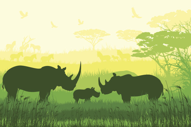 非洲野生动物和丛林居民图片下载