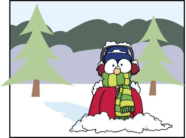 突如其来的雪1图片下载