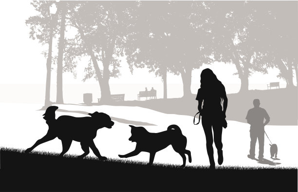 狗公园的朋友图片下载