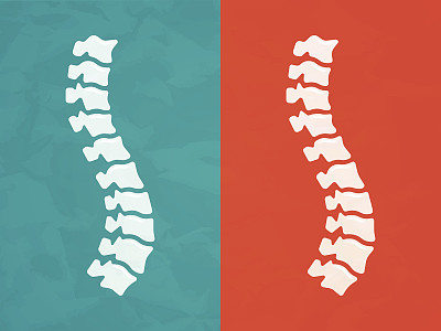 脊柱图片下载