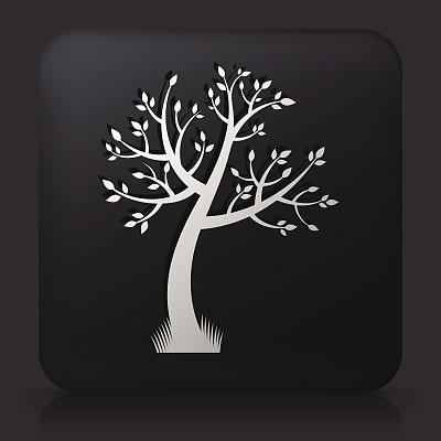 黑色方形按钮与树图标图片下载