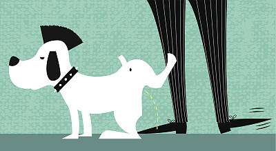 朋克的狗图片下载