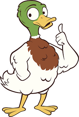 野鸭-竖起大拇指图片下载