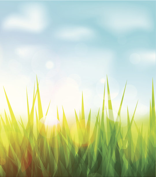 绿草图片下载