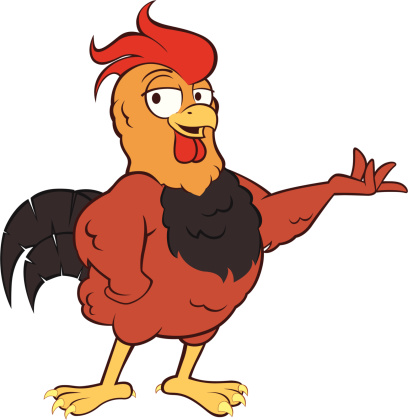 公鸡,呈现图片下载