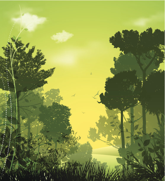 森林图片素材ID：305950980