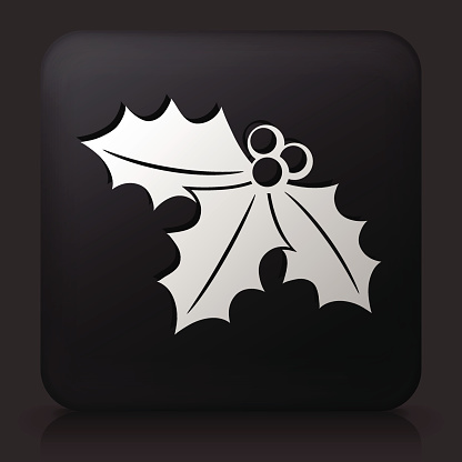 黑色方形按钮与一品红图标图片下载