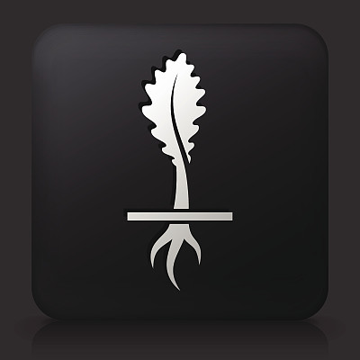 黑色方形按钮与生长的植物图片下载